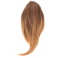 CLIP-IN PONY